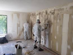 Best Black Mold Removal  in Morristown, IN